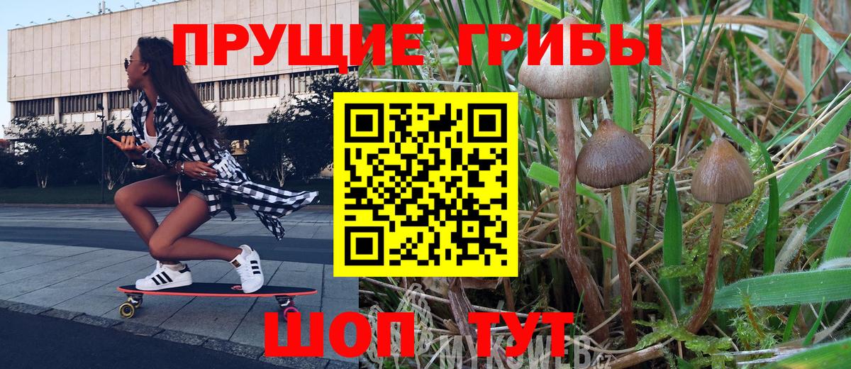 Галлюциногенные грибы GOLDEN TEACHER Воскресенск